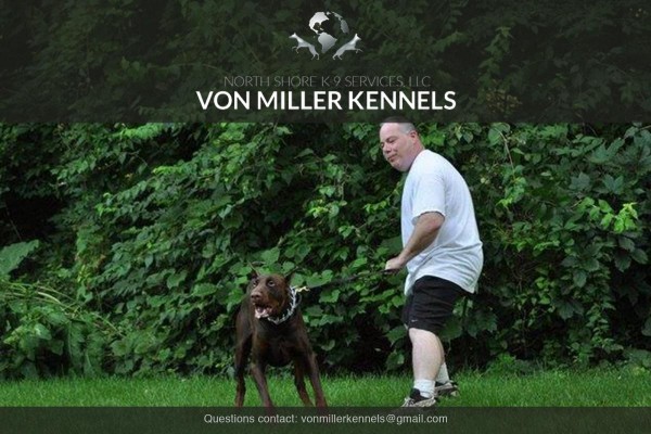 VonMillerKennels_training11